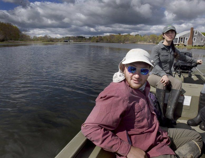 Researchers start study of Great Marsh recovery